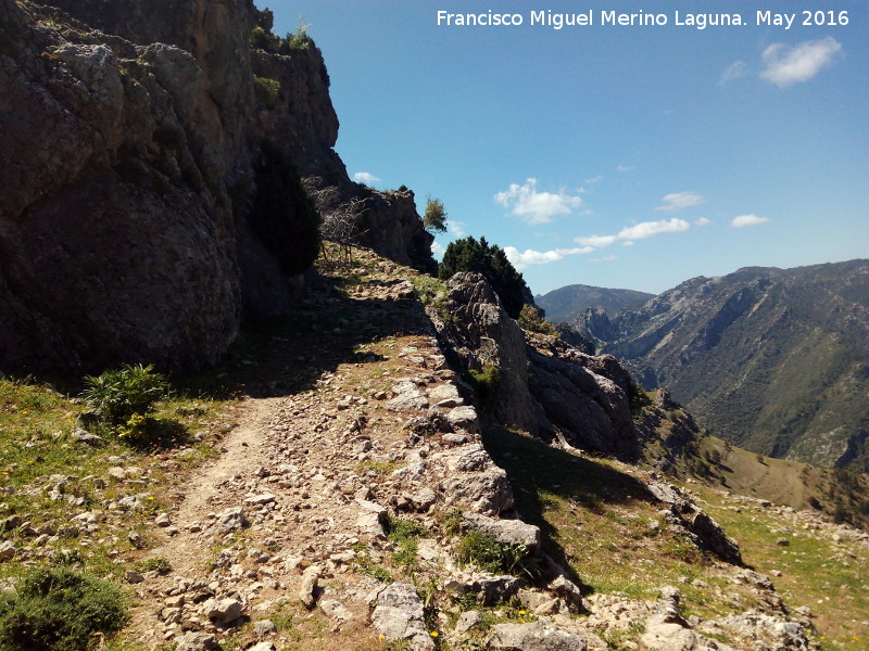 Camino de herradura del Banderillas - Camino de herradura del Banderillas. 