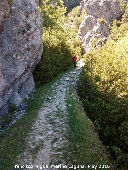 Camino de herradura del Banderillas - Camino de herradura del Banderillas. Pasado el Tranco del Perro