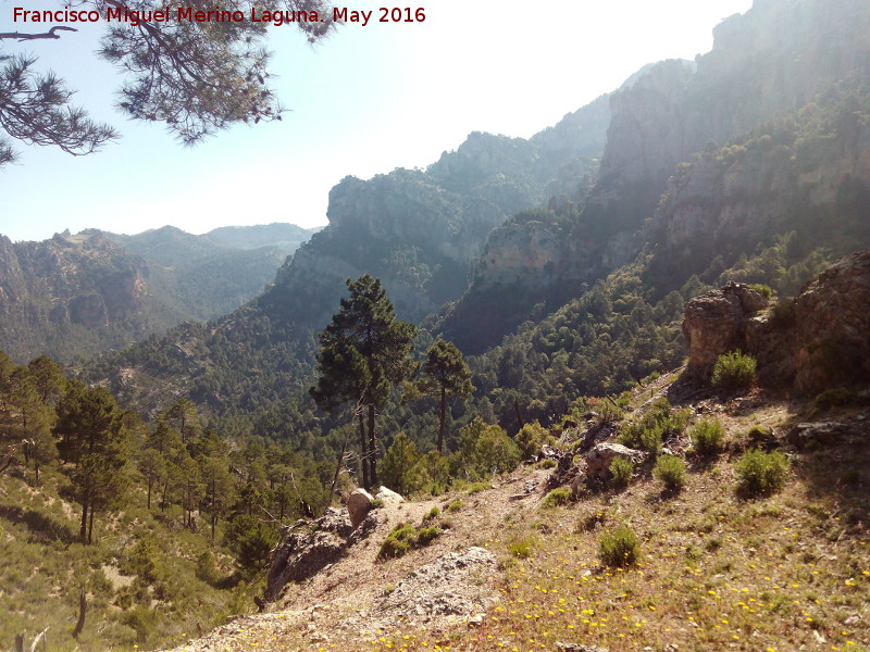 Collado de Linarejos - Collado de Linarejos. Vistas