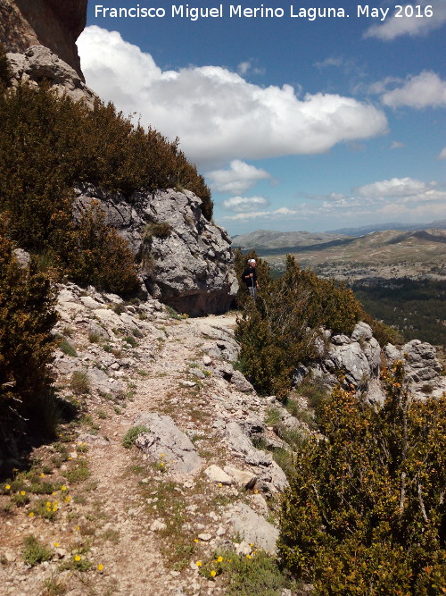 Camino de herradura de Pinar Negro - Camino de herradura de Pinar Negro. 