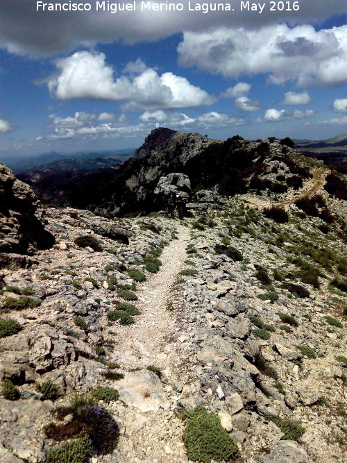 Camino de herradura de Pinar Negro - Camino de herradura de Pinar Negro. 