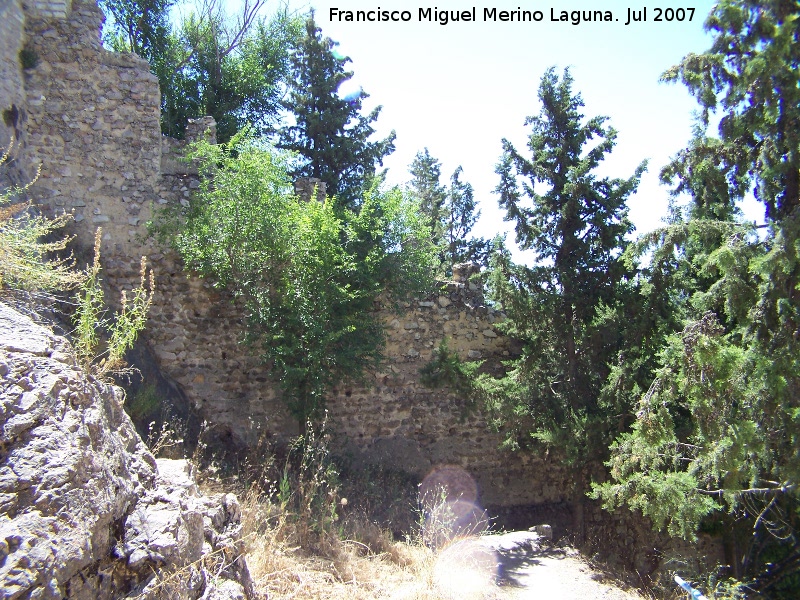 Lienzo de muralla de la Puerta Nueva - Lienzo de muralla de la Puerta Nueva. Intramuros