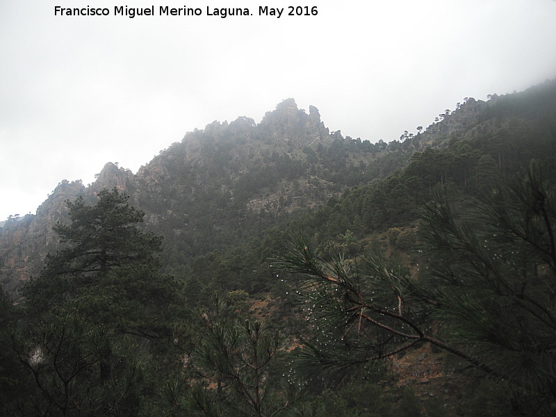 Piedras del Aguasmulas - Piedras del Aguasmulas. 