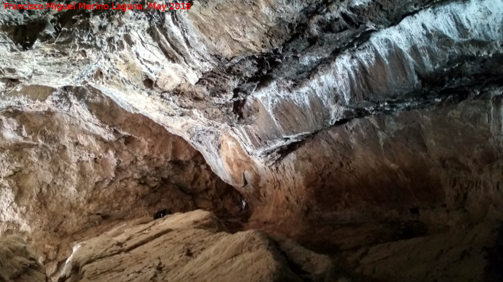 Cueva de las Cabreras - Cueva de las Cabreras. Paredes