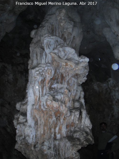Cueva de los Esqueletos - Cueva de los Esqueletos. Columna principal
