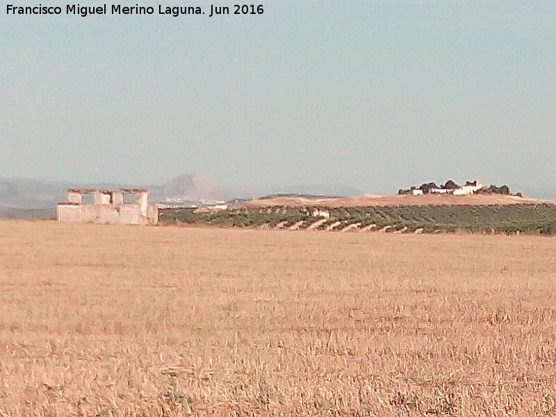 Cortijo de Andujilla - Cortijo de Andujilla. Al fondo a la derecha Torre de Alczar