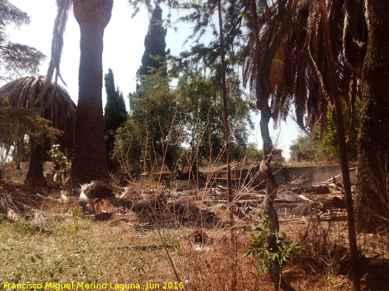 Hacienda San Jos - Hacienda San Jos. Restos del jardn