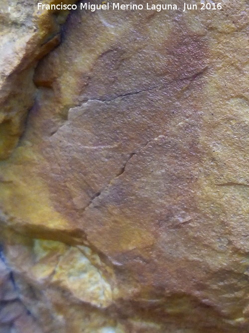 Pinturas rupestres del Abrigo del Hornillo II - Pinturas rupestres del Abrigo del Hornillo II. Figura o mancha