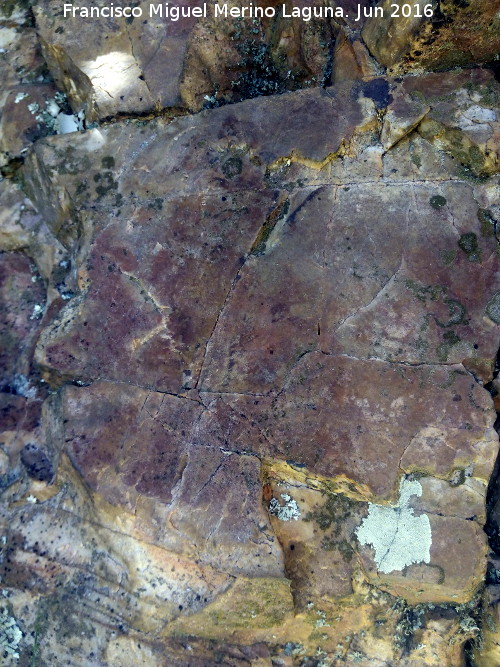 Pinturas rupestres de la Graja de Miranda II - Pinturas rupestres de la Graja de Miranda II. Panel