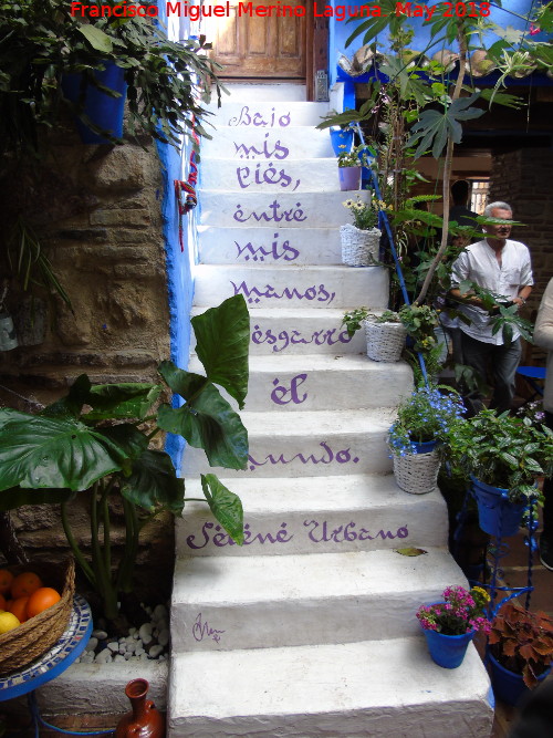 Casa de la Calle Frailes n 6 - Casa de la Calle Frailes n 6. Escaleras