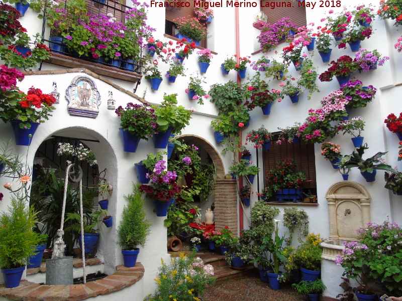 Casa de la Calle Alvar Rodrguez n 11 - Casa de la Calle Alvar Rodrguez n 11. Patio