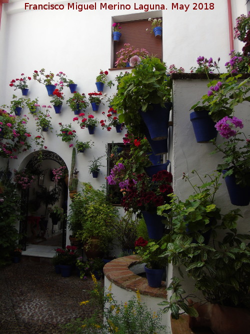 Casa de la Calle Alvar Rodrguez n 11 - Casa de la Calle Alvar Rodrguez n 11. Patio