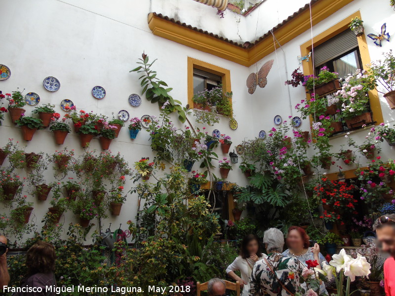 Casa de la Calle Pozanco n 6 - Casa de la Calle Pozanco n 6. Patio