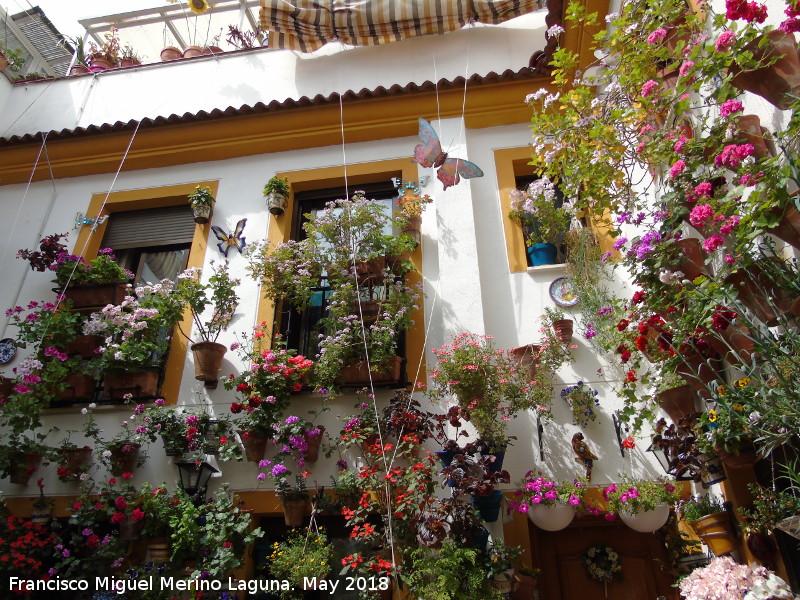 Casa de la Calle Pozanco n 6 - Casa de la Calle Pozanco n 6. Patio