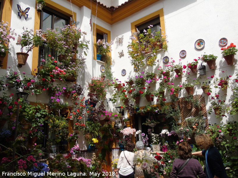 Casa de la Calle Pozanco n 6 - Casa de la Calle Pozanco n 6. Patio