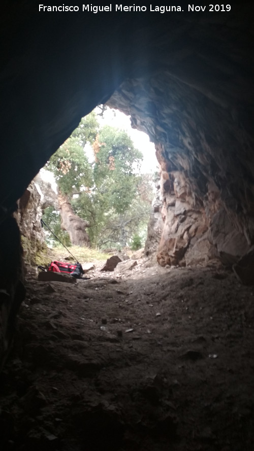 Pinturas rupestres de la Cueva de la Mina - Pinturas rupestres de la Cueva de la Mina. Cueva de la Mina