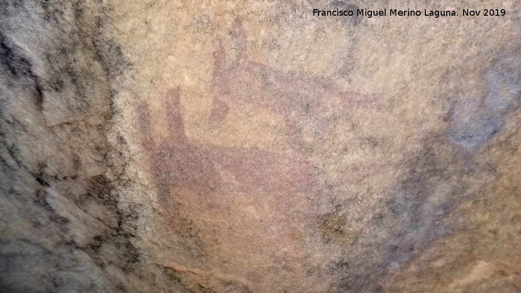 Pinturas rupestres de la Cueva de la Mina - Pinturas rupestres de la Cueva de la Mina. Zoomorfos de la izquierda