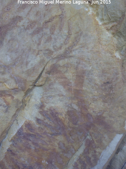 Pinturas rupestres del Barranco de la Cueva Grupo I - Pinturas rupestres del Barranco de la Cueva Grupo I. Antropomorfo doble Y y barras y puntos