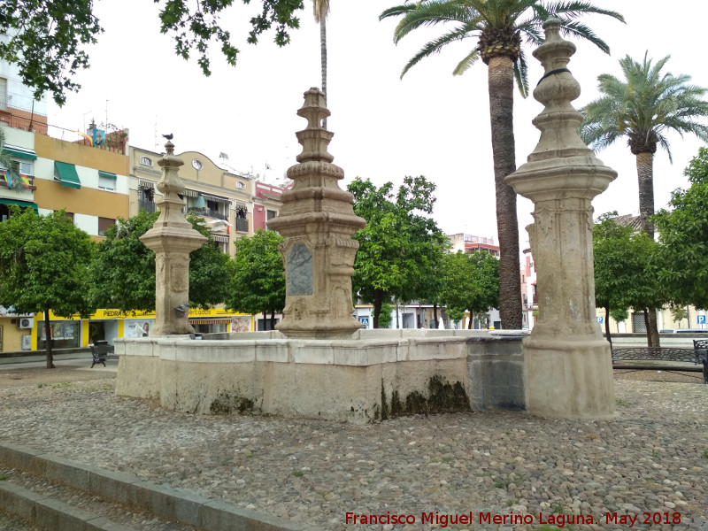 Fuente de la Plaza del Cristo de Gracia - Fuente de la Plaza del Cristo de Gracia. 