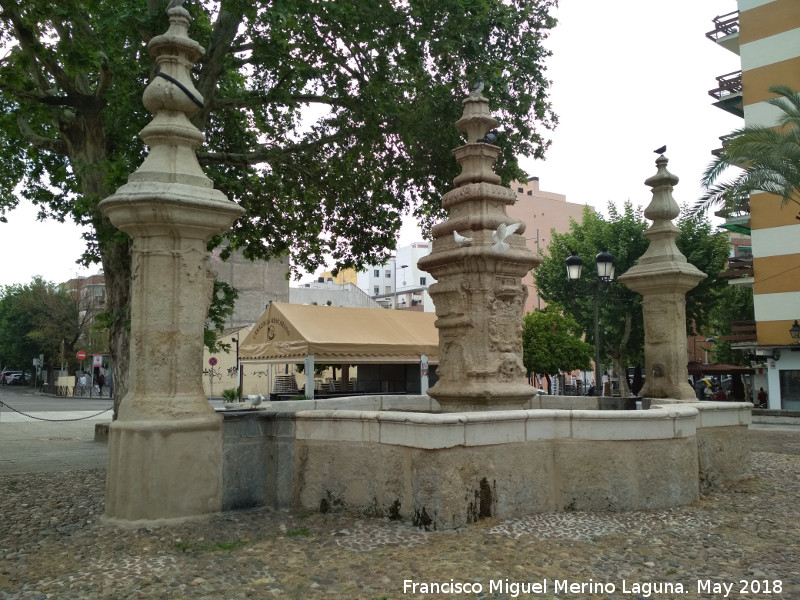 Fuente de la Plaza del Cristo de Gracia - Fuente de la Plaza del Cristo de Gracia. 