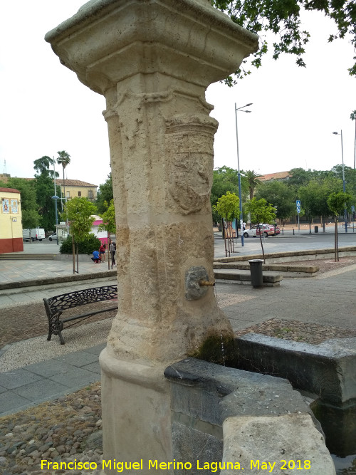 Fuente de la Plaza del Cristo de Gracia - Fuente de la Plaza del Cristo de Gracia. Cao norte