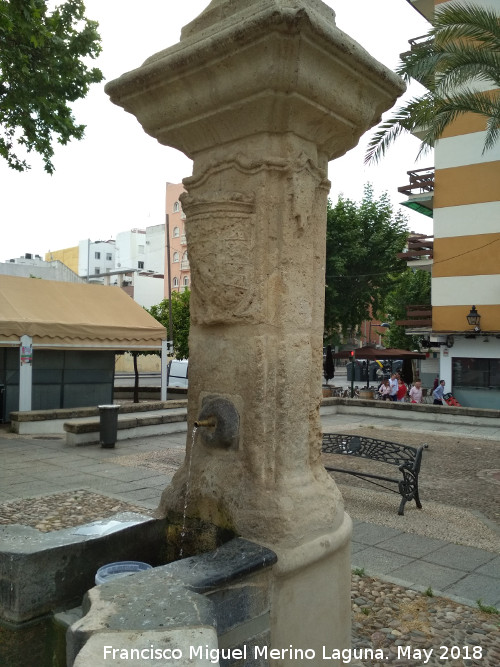 Fuente de la Plaza del Cristo de Gracia - Fuente de la Plaza del Cristo de Gracia. Cao sur