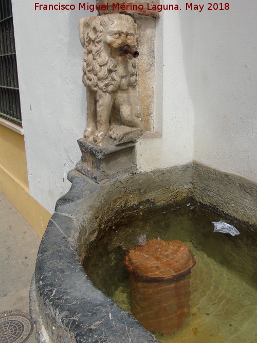 Fuente de la Piedra Escrita - Fuente de la Piedra Escrita. Len izquierdo