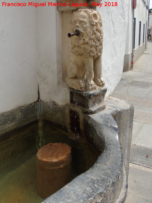 Fuente de la Piedra Escrita - Fuente de la Piedra Escrita. Len derecho