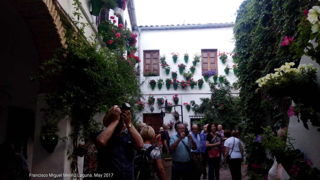 Casa de la Calle Martnez Rcker n 1 - Casa de la Calle Martnez Rcker n 1. Patio