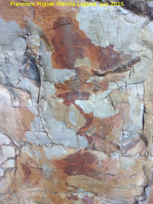 Pinturas rupestres de la Cueva de los Arcos I - Pinturas rupestres de la Cueva de los Arcos I. Figura polilobulada