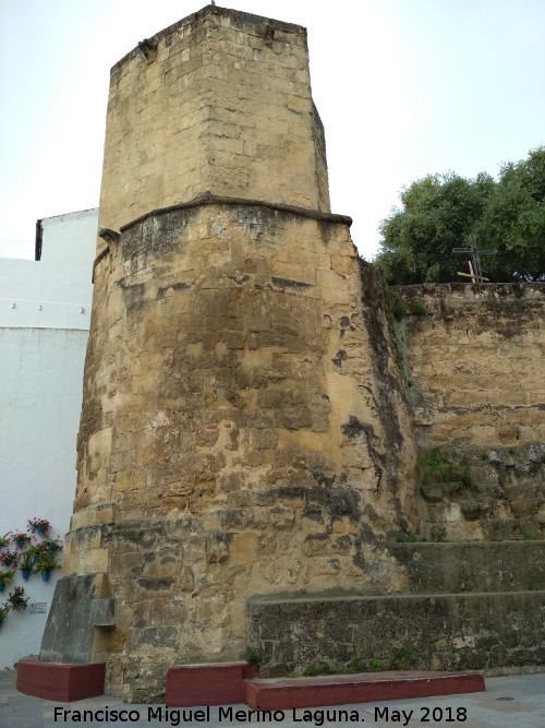 Torre de la Puerta del Rincn - Torre de la Puerta del Rincn. 