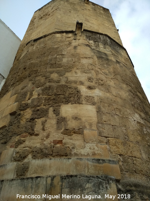 Torre de la Puerta del Rincn - Torre de la Puerta del Rincn. 