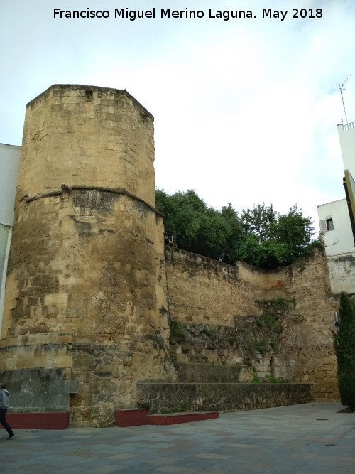 Torre de la Puerta del Rincn - Torre de la Puerta del Rincn. 
