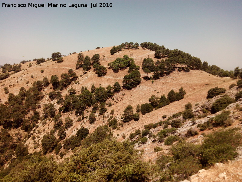 Cerro Fro - Cerro Fro. 