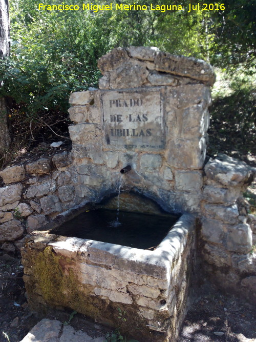 Fuente del Prado de las Ubillas - Fuente del Prado de las Ubillas. 