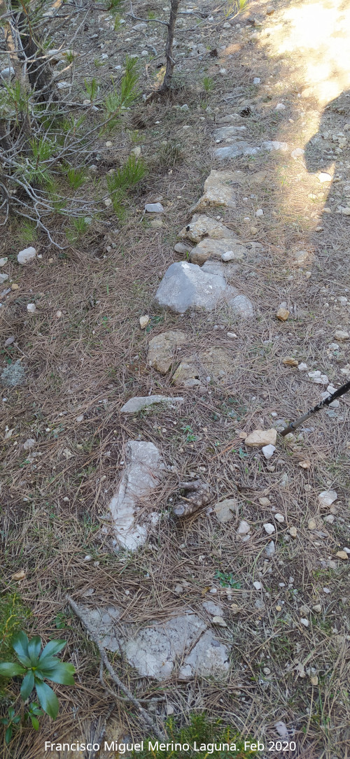 Camino del Poyo de las Palomas - Camino del Poyo de las Palomas. Restos del camino antiguo