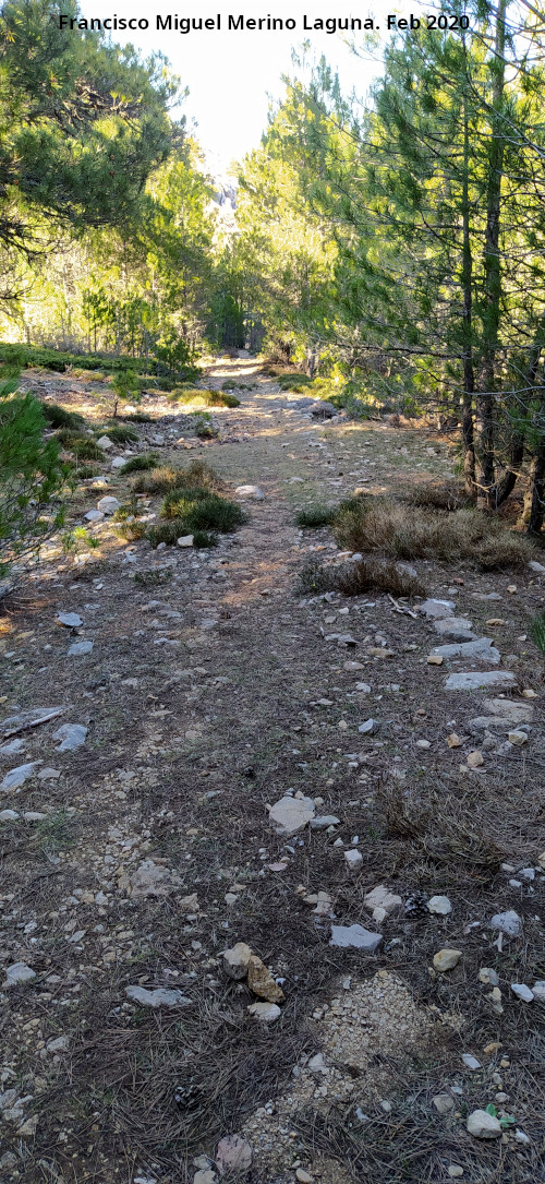 Camino del Poyo de las Palomas - Camino del Poyo de las Palomas. Camino antiguo