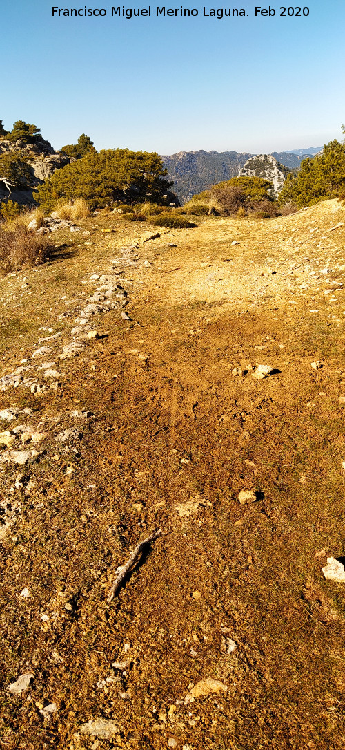 Camino del Poyo de las Palomas - Camino del Poyo de las Palomas. Restos del antiguo camino en su parte alta