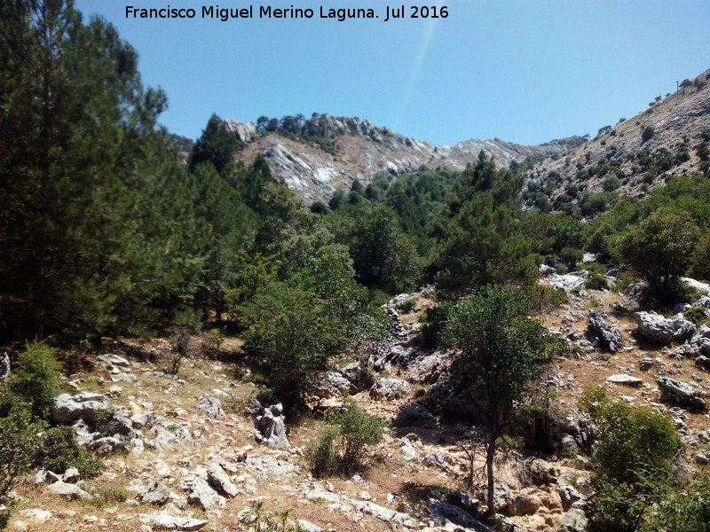 Barranco de la Caada de las Fuentes - Barranco de la Caada de las Fuentes. 