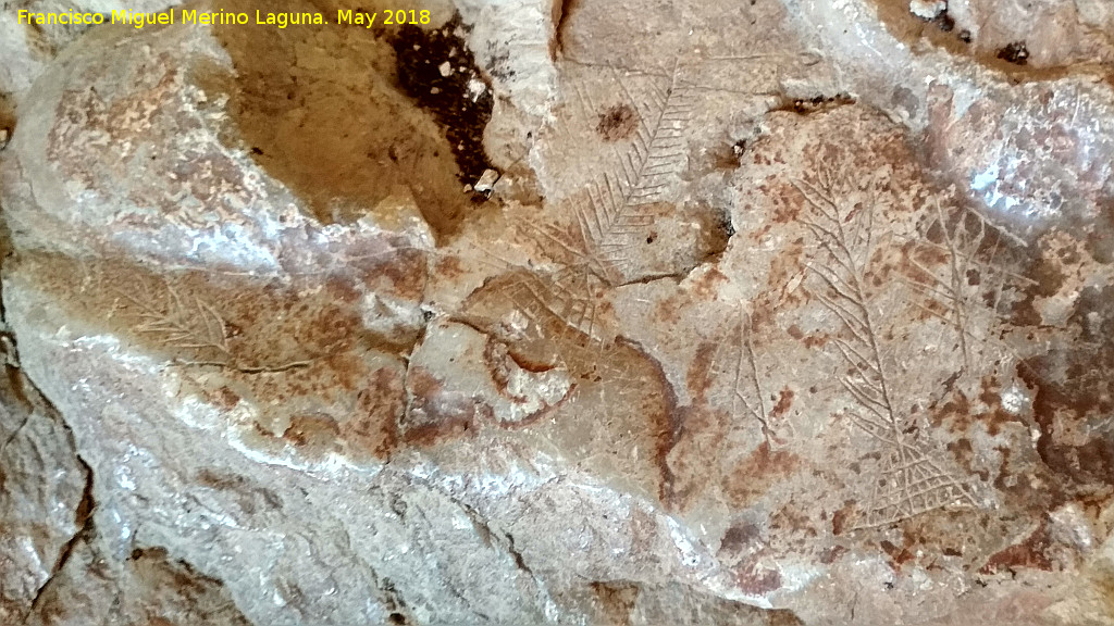 Eremitorio de la Cueva de las Cruces - Eremitorio de la Cueva de las Cruces. Grabados vegetales