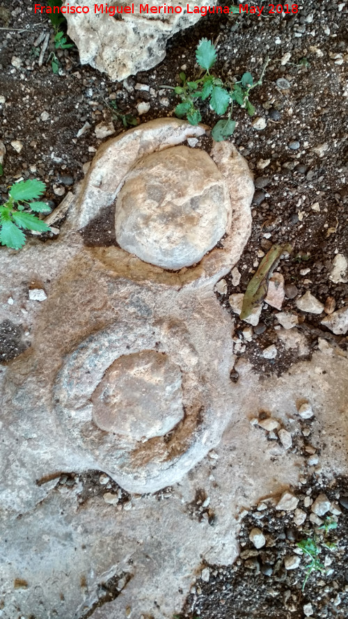 Eremitorio de la Cueva de las Cruces - Eremitorio de la Cueva de las Cruces. Estalacmitas cortadas y renaciendo