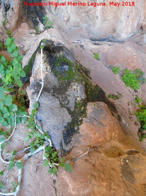 Eremitorio de la Cueva de las Cruces - Eremitorio de la Cueva de las Cruces. Cazoletas con canalizaciones