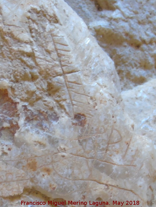 Eremitorio de la Cueva de las Cruces - Eremitorio de la Cueva de las Cruces. 