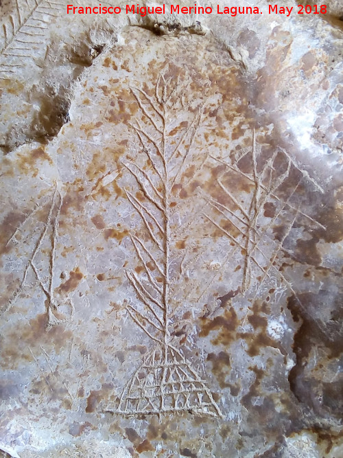 Eremitorio de la Cueva de las Cruces - Eremitorio de la Cueva de las Cruces. Grabado vegetal