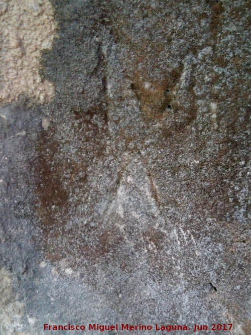 Petroglifos y pinturas rupestres del Abrigo de la Tinaja V - Petroglifos y pinturas rupestres del Abrigo de la Tinaja V. Petroglifos