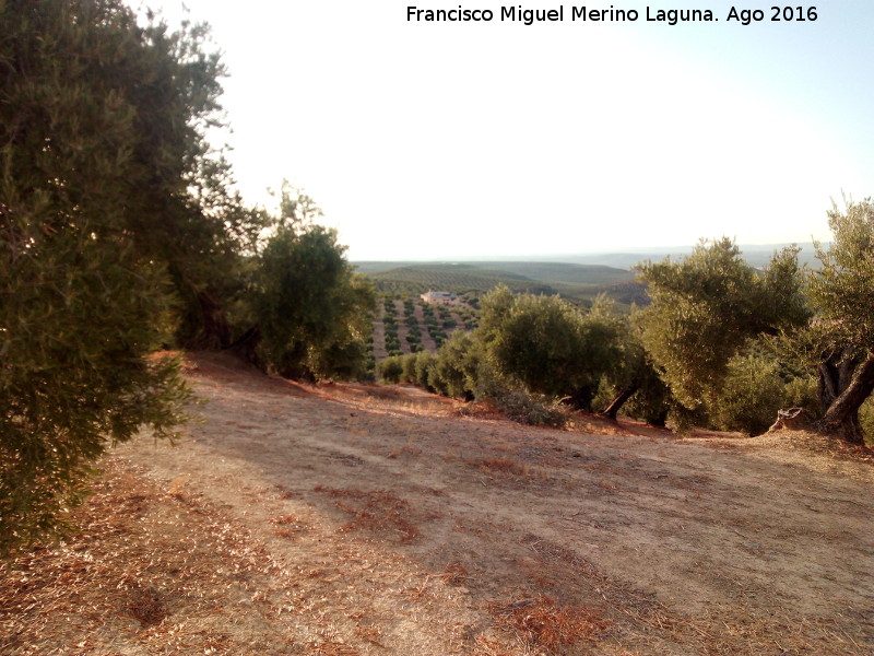 Cerro Morrn - Cerro Morrn. Vistas hacia el Cortijo San Eloy