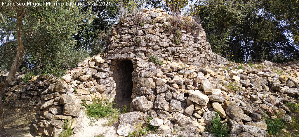 Caracol Viejo - Caracol Viejo. 