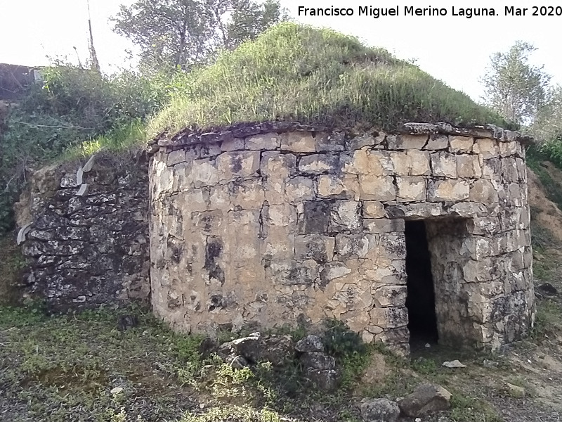 Caracol de la Ponderosa - Caracol de la Ponderosa. 