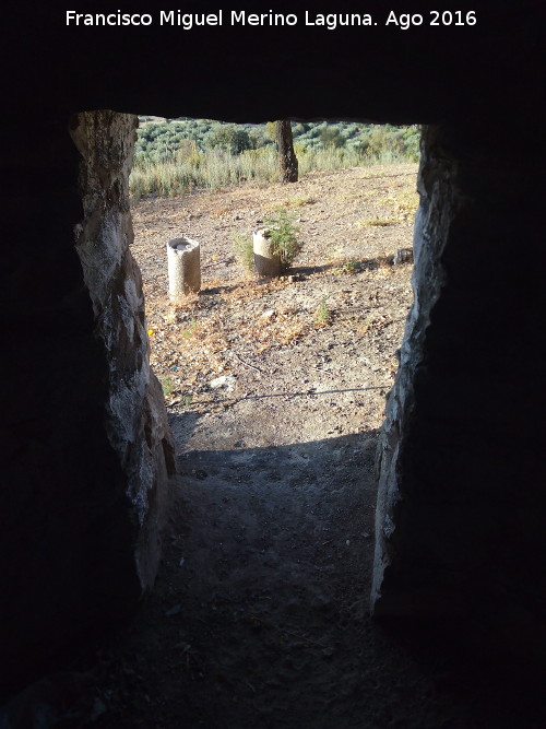 Caracol Dominante - Caracol Dominante. Puerta