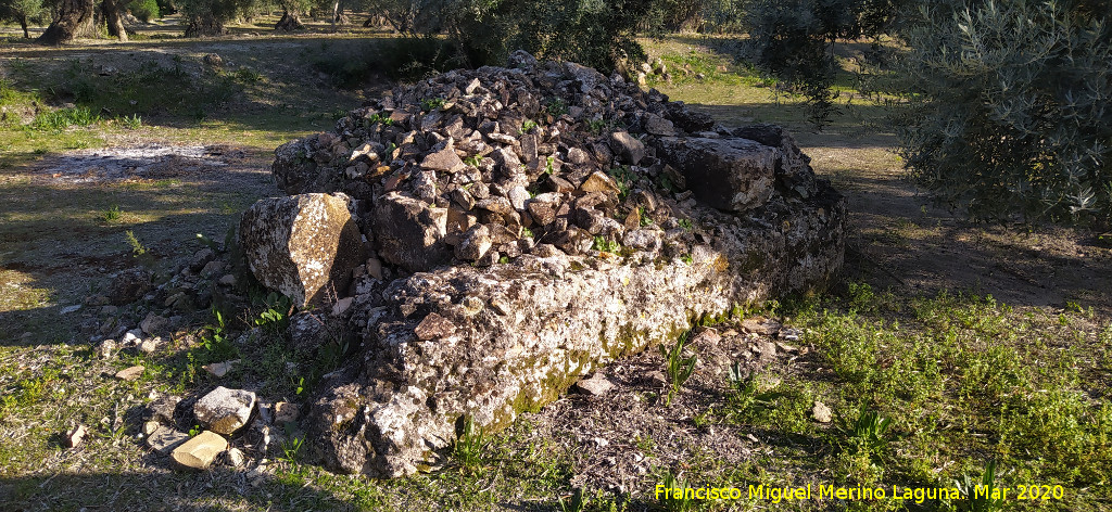 Cisterna Romana - Cisterna Romana. 